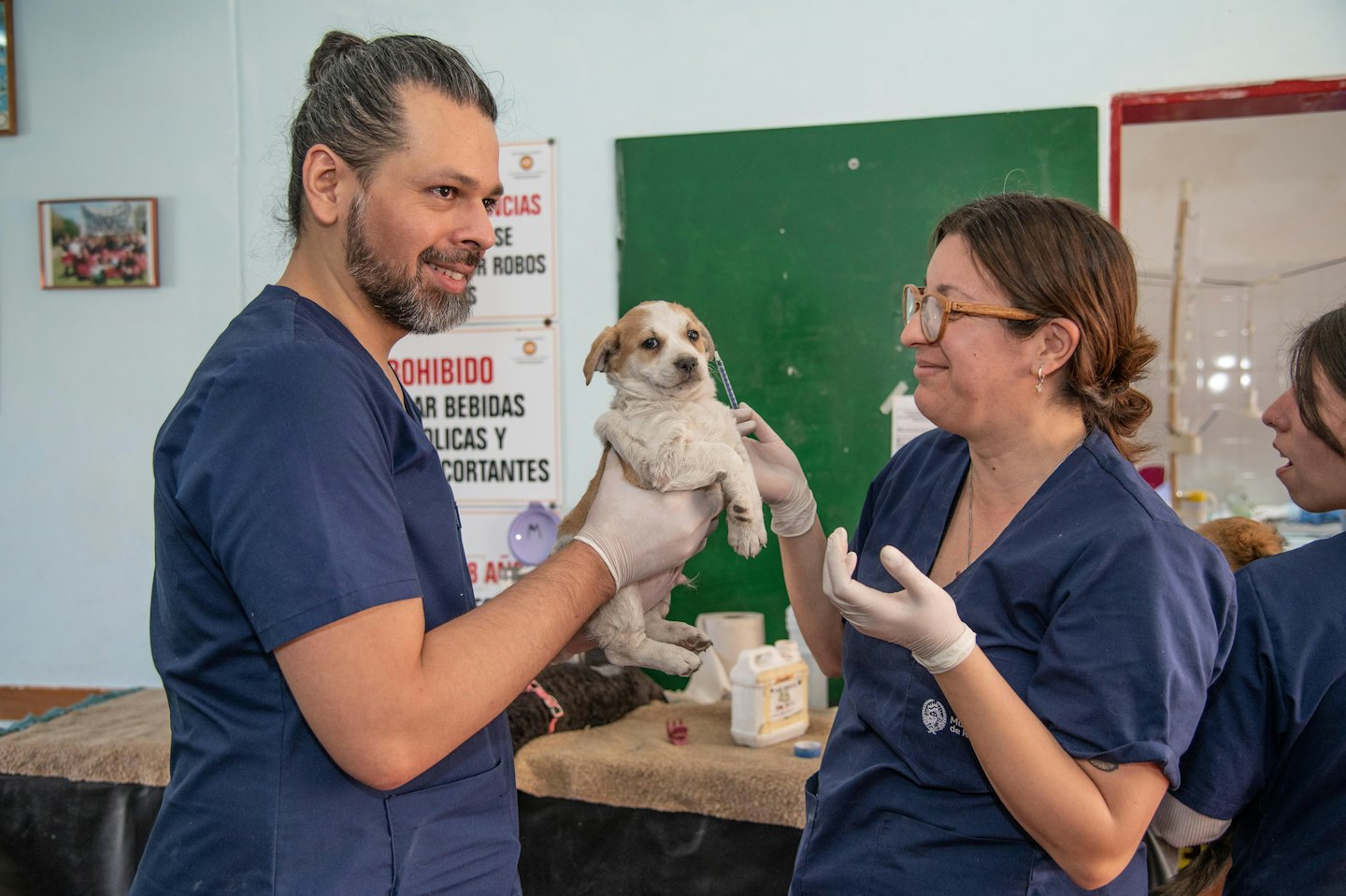 Due veterinari vaccinano un cucciolo in un ambiente interno.