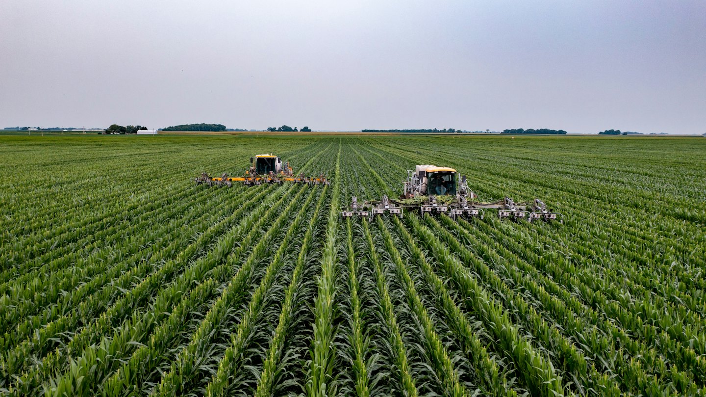 Due macchine agricole gialle coltivano un grande campo verde.