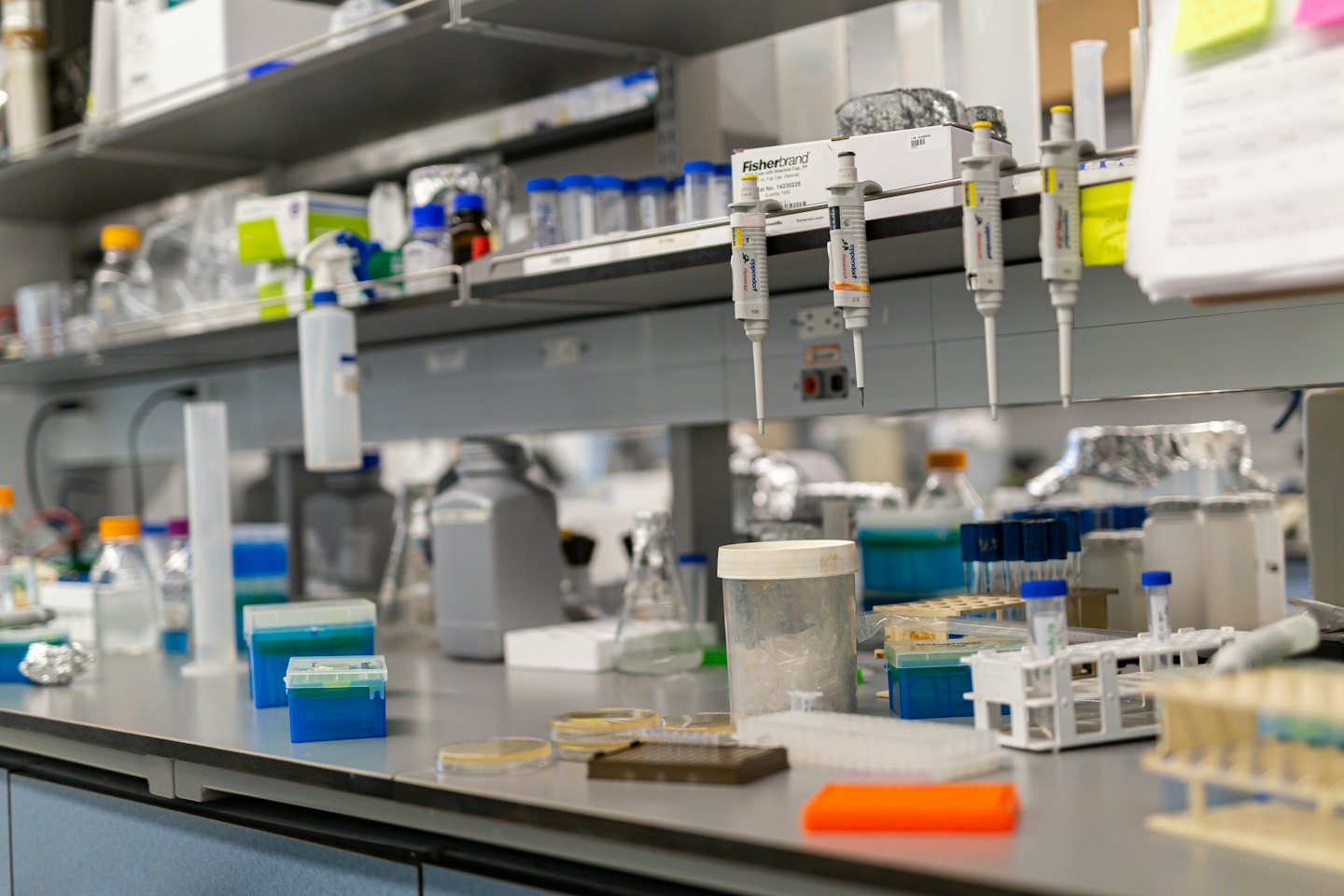 Banco da laboratorio con attrezzature scientifiche ordinate e liquidi colorati.